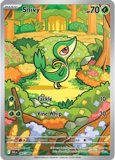 Snivy - 087/086 - SV: Black Bolt (BLK)